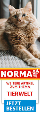 Weitere Artikel zum Thema - Jetzt Bestellen auf Norma24.de