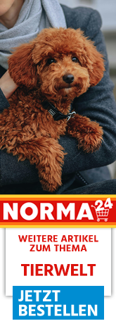 Weitere Artikel zum Thema - Jetzt Bestellen auf Norma24.de