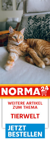 Weitere Artikel zum Thema - Jetzt Bestellen auf Norma24.de