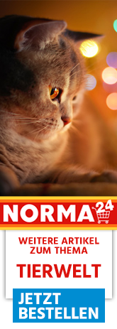 Weitere Artikel zum Thema - Jetzt Bestellen auf Norma24.de