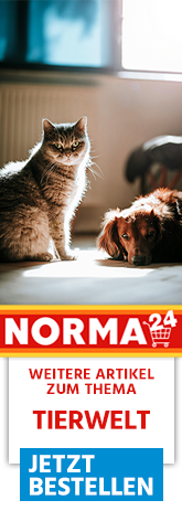 Weitere Artikel zum Thema - Jetzt Bestellen auf Norma24.de
