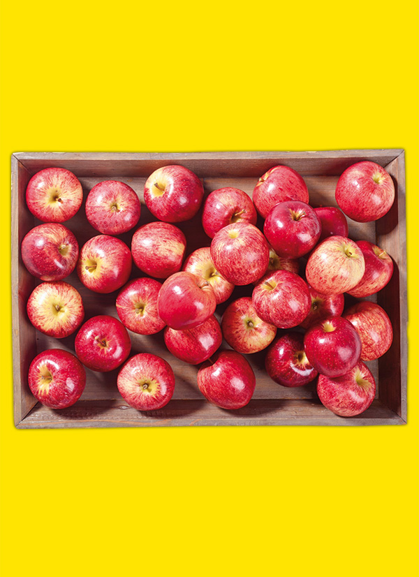 /ext/img/product/obst-und-gemuese/22_09_19/1500_aepfel_1.jpg