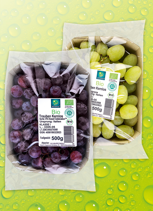 /ext/img/product/obst-und-gemuese/22_09_19/500_bio-tafeltrauben_wo_1.jpg