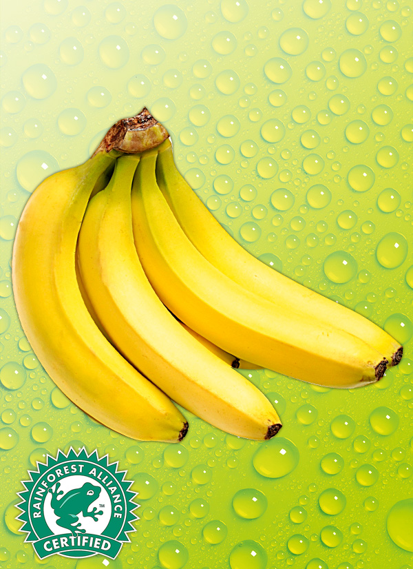 NORMA - Ihr Lebensmittel-Discounter | Bananen, lose | OBST &amp; GEMÜSE ...