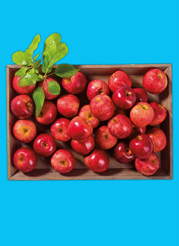 /ext/img/product/obst-und-gemuese/22_11_21/1500_aepfel_1.jpg