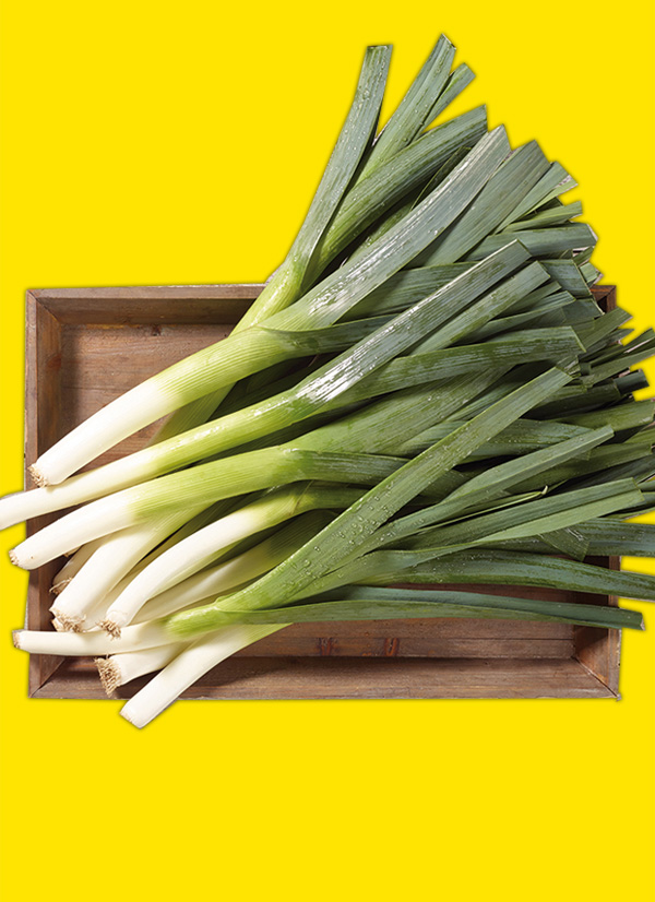 /ext/img/product/obst-und-gemuese/22_11_21/1700_lauch_1.jpg