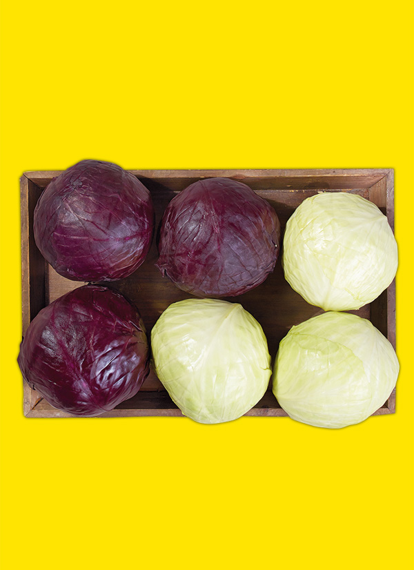 /ext/img/product/obst-und-gemuese/22_11_21/1700_weiss-rotkohl_1.jpg