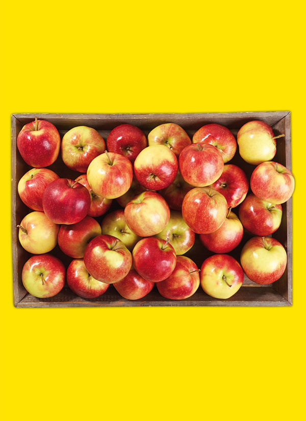 /ext/img/product/obst-und-gemuese/22_11_28/1500_aepfel_1.jpg