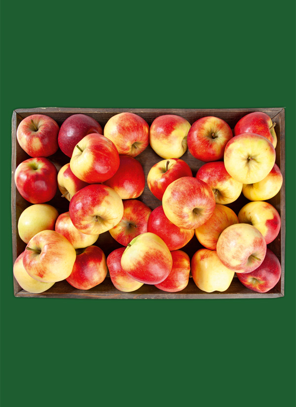 /ext/img/product/obst-und-gemuese/22_12_05/1400_aepfel_1.jpg