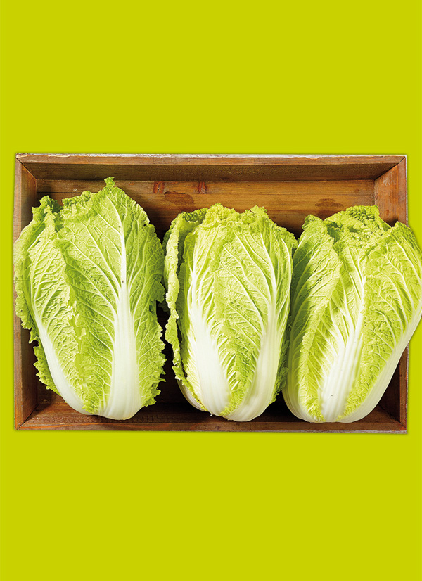/ext/img/product/obst-und-gemuese/22_12_05/1600_chinakohl_1.jpg