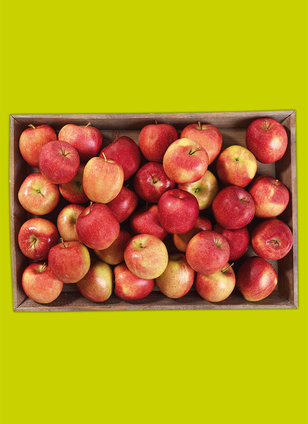 Produktbild »Rheinländer Äpfel«