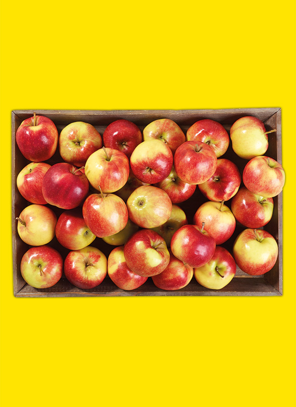 /ext/img/product/obst-und-gemuese/23_03_27/1500_aepfel_1.jpg