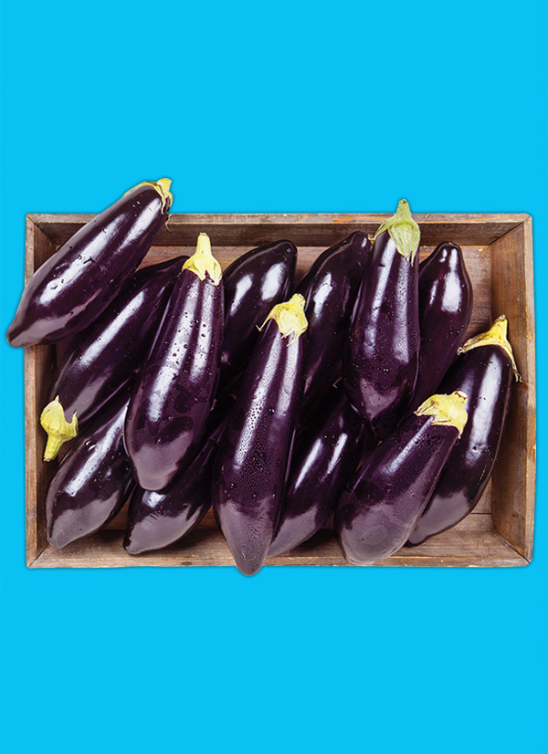 /ext/img/product/obst-und-gemuese/23_05_22/1400_aubergine_1.jpg