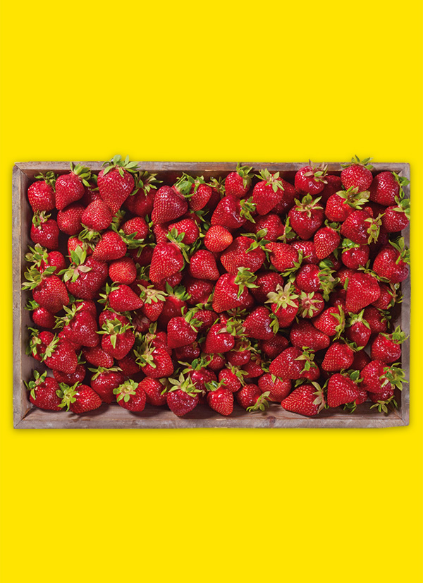 /ext/img/product/obst-und-gemuese/23_05_22/1600_erdbeeren_dummy_1.jpg