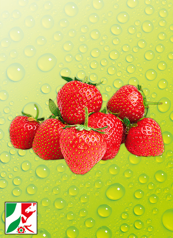 /ext/img/product/obst-und-gemuese/23_05_22/200_erdbeeren_krb_1.jpg