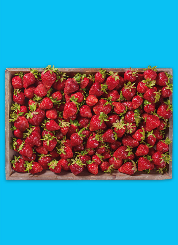 /ext/img/product/obst-und-gemuese/23_05_30/1500_erdbeeren_1.jpg