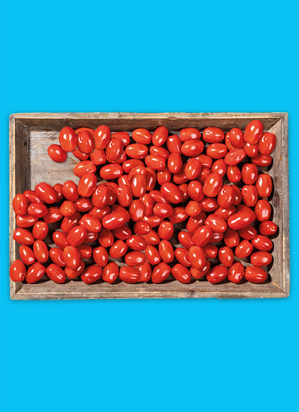 /ext/img/product/obst-und-gemuese/23_05_30/1500_naschtomaten_1.jpg