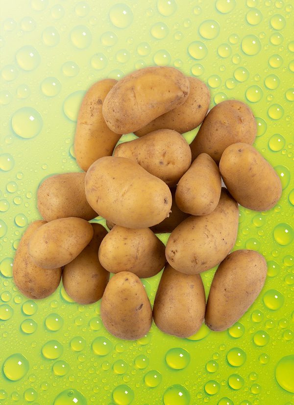 NORMA - Ihr Lebensmittel-Discounter | Bio-Speisefrühkartoffeln | OBST &  GEMÜSE | Angebote
