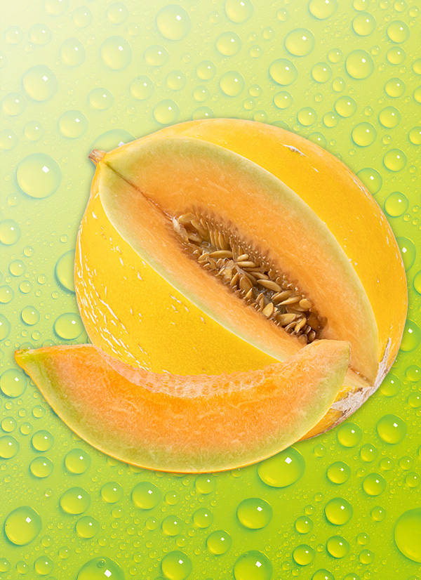 NORMA Ihr LebensmittelDiscounter Honigmelone OBST & GEMÜSE