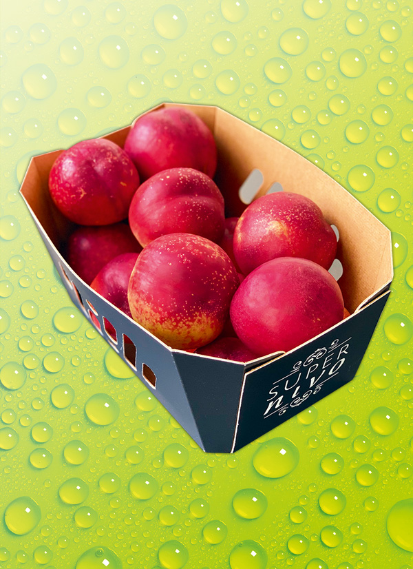 /ext/img/product/obst-und-gemuese/23_09_18/100_nektarinen_wo_1.jpg