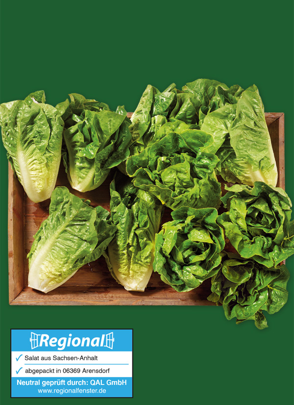 /ext/img/product/obst-und-gemuese/23_09_18/1300_mini-romana-salatherzen_dummy_1.jpg