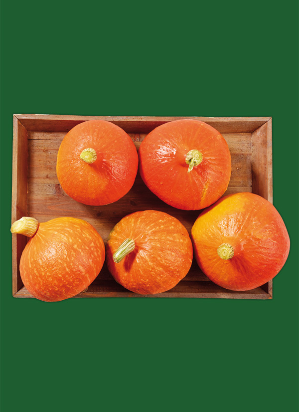 /ext/img/product/obst-und-gemuese/23_09_18/1300_speisekuerbis_dummy_1.jpg
