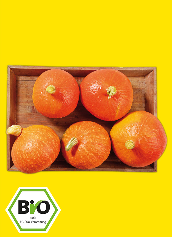 /ext/img/product/obst-und-gemuese/23_09_18/1400_bio-speisekuerbis_dummy_1.jpg