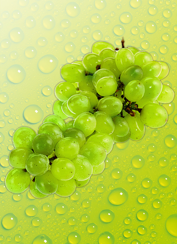 /ext/img/product/obst-und-gemuese/23_09_18/300_tafeltrauben_wo_1.jpg