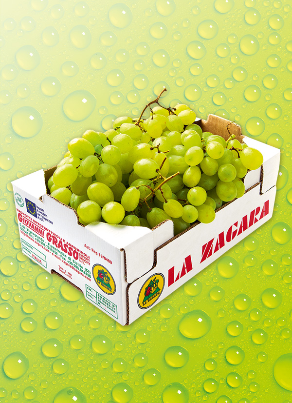 /ext/img/product/obst-und-gemuese/23_09_18/900_trauben_wo_1.jpg