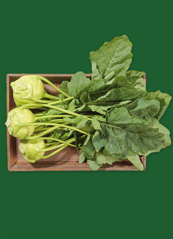 /ext/img/product/obst-und-gemuese/23_09_25/1300_kohlrabi_1.jpg