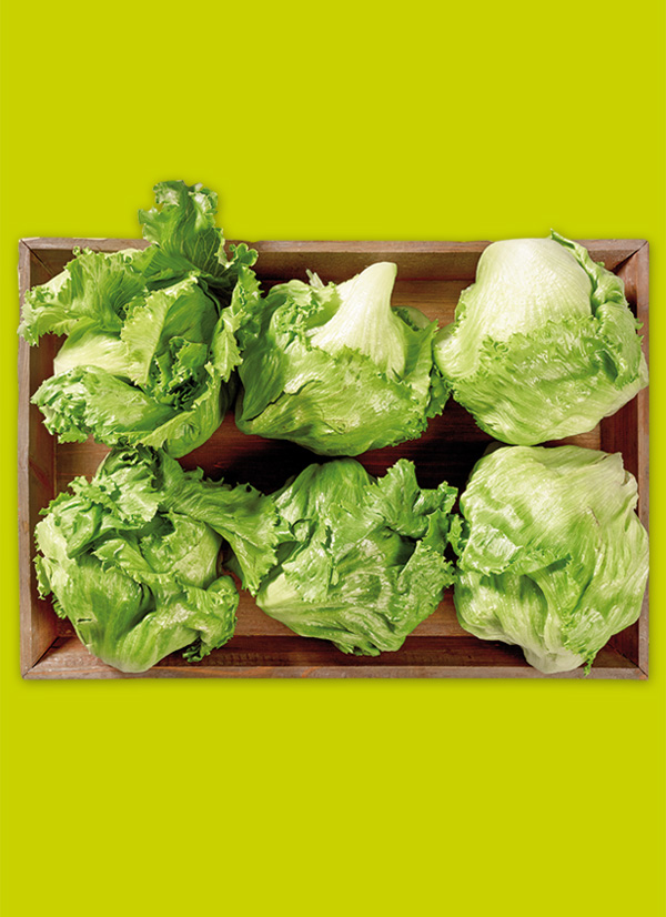 /ext/img/product/obst-und-gemuese/23_09_25/1500_eisbergsalat_1.jpg