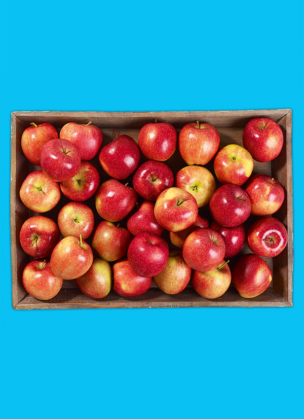 /ext/img/product/obst-und-gemuese/23_11_20/1500_aepfel_1.jpg
