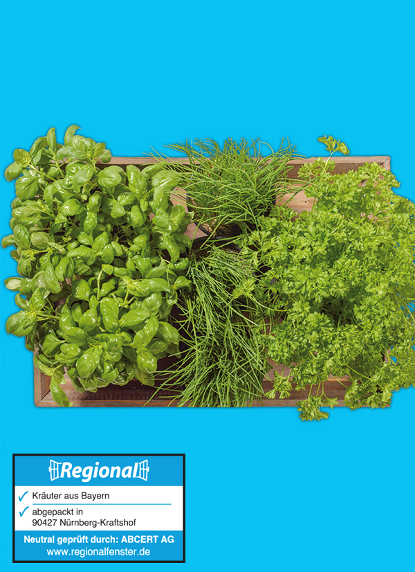 /ext/img/product/obst-und-gemuese/23_11_20/1500_kraeuter_1.jpg