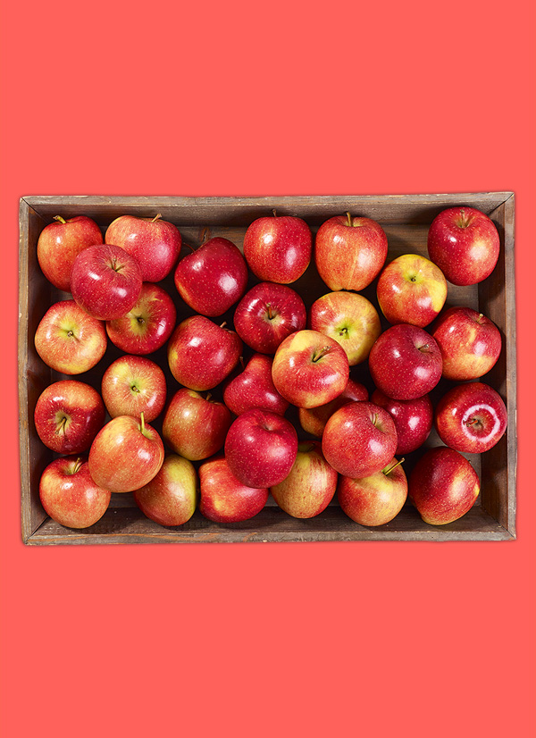 /ext/img/product/obst-und-gemuese/23_11_20/1900_aepfel_1.jpg
