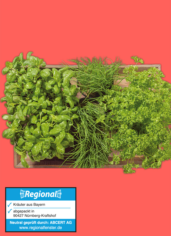 /ext/img/product/obst-und-gemuese/23_11_20/1900_kraeuter_1.jpg