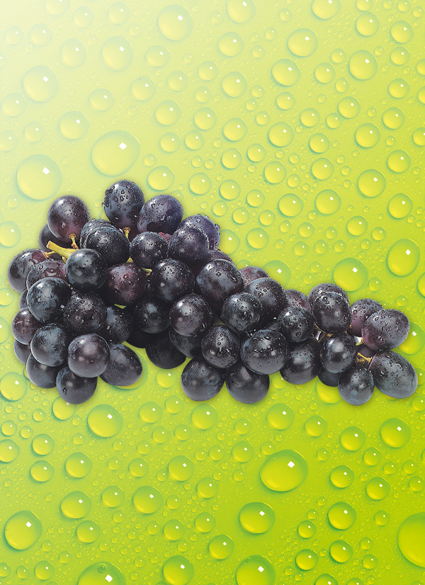 /ext/img/product/obst-und-gemuese/23_11_20/200_tafeltrauben_o_1.jpg