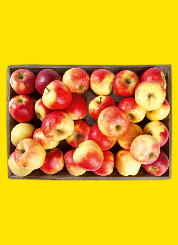 /ext/img/product/obst-und-gemuese/23_11_27/1800_aepfel_1.jpg