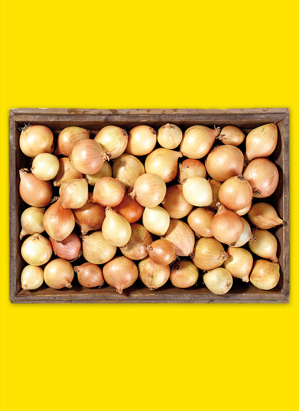 /ext/img/product/obst-und-gemuese/23_11_27/1800_speisezwiebeln_1.jpg