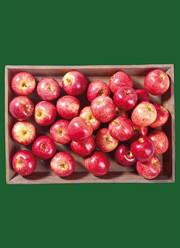 /ext/img/product/obst-und-gemuese/23_11_27/1900_aepfel_1.jpg