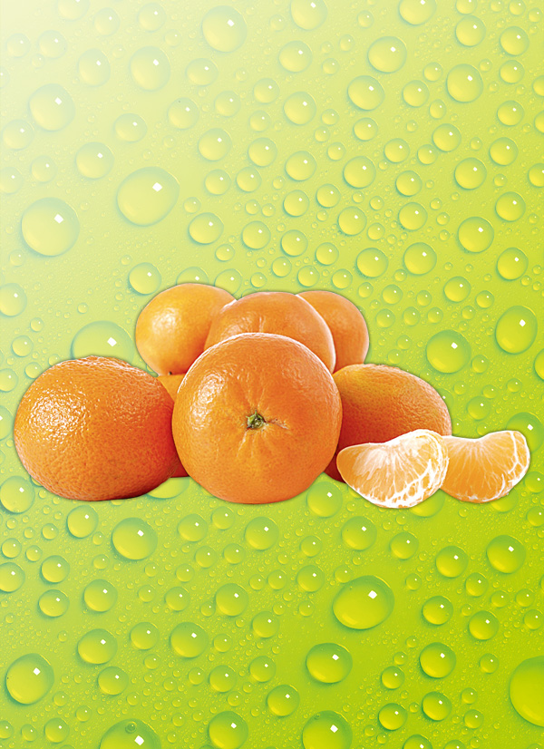 /ext/img/product/obst-und-gemuese/23_11_27/200_clementinen_dummy_1.jpg