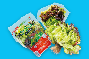 Produktbild »Bayerische Trio-Salate mit Wurzel«