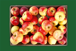 Produktbild »Brandenburger Äpfel«