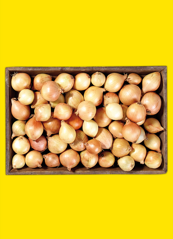 /ext/img/product/obst-und-gemuese/24_02_12/1700_speisezwiebeln_1.jpg