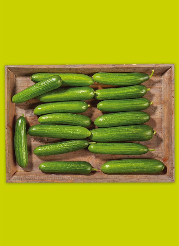 /ext/img/product/obst-und-gemuese/24_02_12/1800_mini-gurken_1.jpg