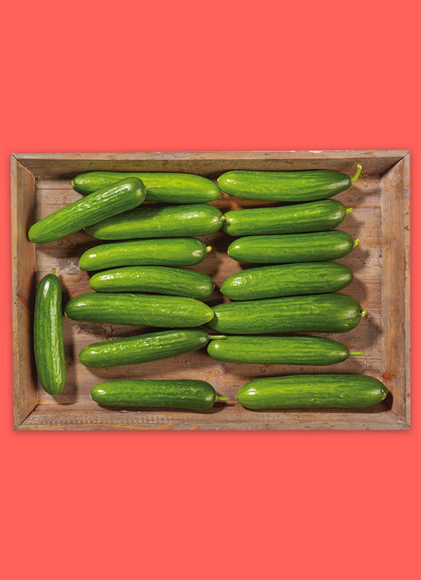 Produktbild »Fränkische Mini Gurken«
