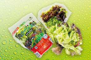 Produktbild »Salat-Trio«