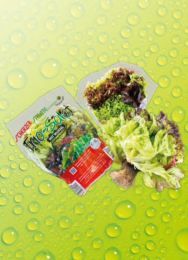 Produktbild »Salat-Trio«