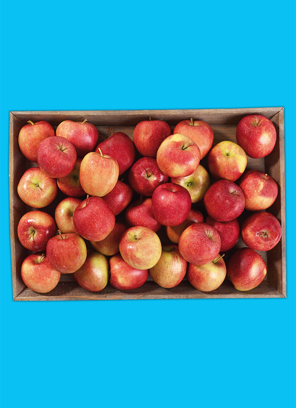 /ext/img/product/obst-und-gemuese/24_02_19/1300_aepfel_1.jpg