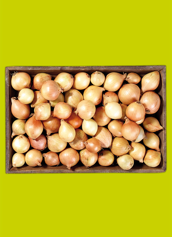 /ext/img/product/obst-und-gemuese/24_02_19/1600_speisezwiebeln_1.jpg