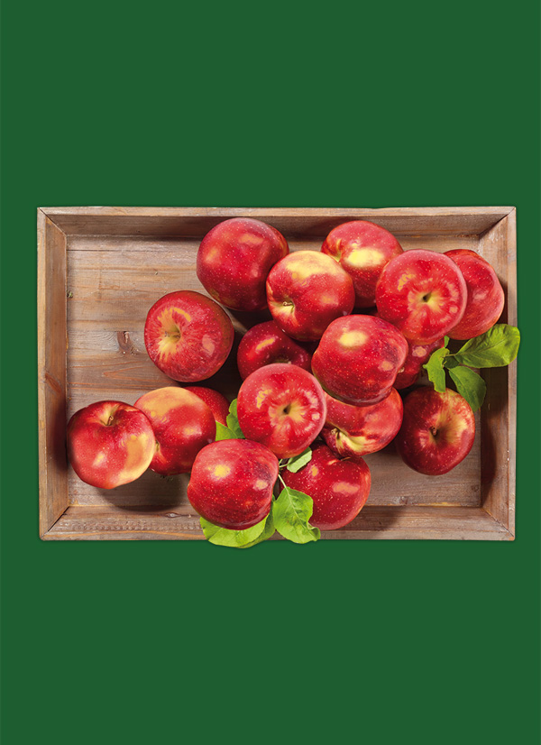 /ext/img/product/obst-und-gemuese/24_04_02/1400_aepfel_1.jpg